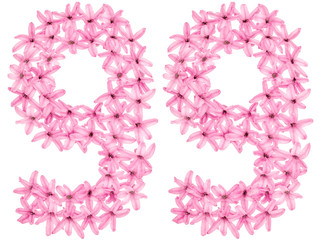 Numeral 99, ninety nine, from natural flowers of hyacinth, isolated on white background