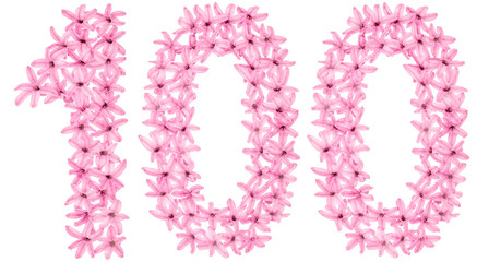 Numeral 100, one hundred, from natural flowers of hyacinth, isolated on white background