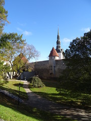 Domberg, Domberg Tallinn