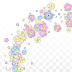 Colorful Vector Realistic Petals Falling on Transparent Background.  Spring Romantic Flowers Illustration. Flying Petals. Sakura Spa Design. Blossom Confetti. Design Elements for Wedding Decoration.