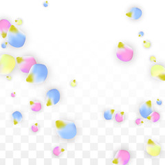 Vector Realistic Colorful Petals Falling on Transparent Background.  Spring Romantic Flowers Illustration. Flying Petals. Sakura Spa Design. Blossom Confetti. Design Elements for Wedding Decoration.