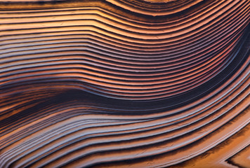 orange agate lines macro texture