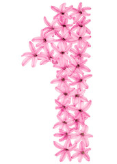 Numeral 1, one, from natural flowers of hyacinth, isolated on white background