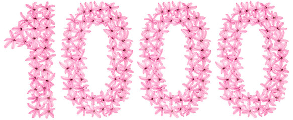 Numeral 1000, one thousand, from natural flowers of hyacinth, isolated on white background