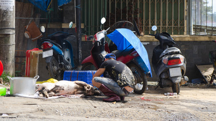 Man Removing the Hair from a pig in the street of Vietnam using a blow torch in preparation for dinner, lunch or breakfast, ready to be cooked, third world country. 