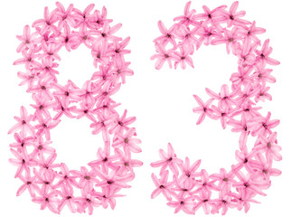 Numeral 83, eighty three, from natural flowers of hyacinth, isolated on white background