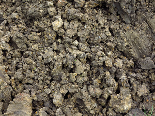 pile of dry soil