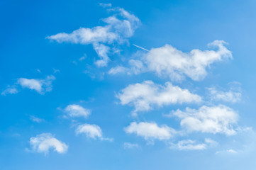 Naklejka na ściany i meble light fluffy clouds on a bright blue sky