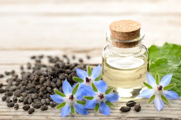 borage oil in the glass bottle, with seeds and flowers