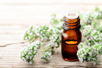 Marjoram essential oil in the glass bottle, with fresh marjoram flowers on the wooden board