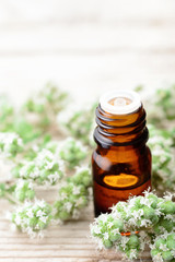 Marjoram essential oil in the glass bottle, with fresh marjoram flowers, on the wooden board