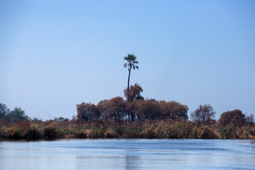 Okavango island