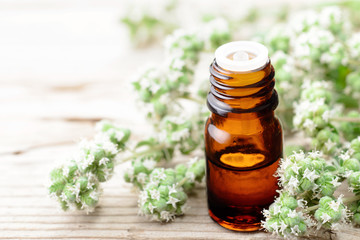 Marjoram essential oil in the glass bottle, with fresh marjoram flowers, on the wooden board