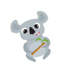 Vector illustration of cartoon funny koala isolated on white background.