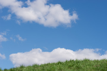 Fototapeta na wymiar blue cloudy sky and green grass background copy space