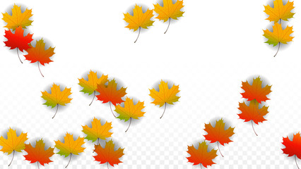 September Vector Background with Golden Falling Leaves. Autumn Illustration with Maple Red, Orange, Yellow Foliage. Isolated Leaf on Transparent Background. Bright Swirl. Suitable for Posters.