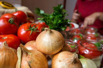 Canning fresh tomatoes with onions in jelly marinade. Woman hands putting red ripe tomato slices and onion rings in jars. Basil, parsley leaves on top of onions. Vegetable salads for winter