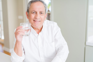 Handsome senior man holding a fresh glass of water and smiling