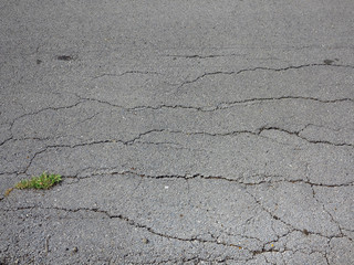 Obraz premium crack on asphalt road with grass texture