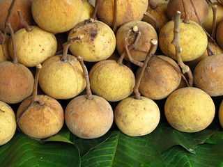 Pile of fresh Santol tropical fruit on leaf in market