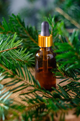 Bottle of pine essential oil on wooden table