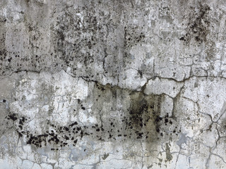 old dirty white wall with mold texture background