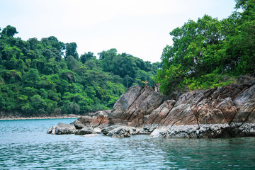 Obraz premium Wild nature of Thailand