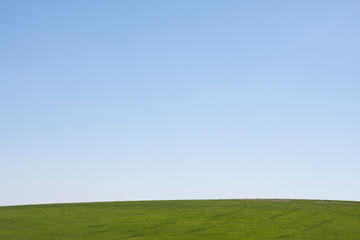 Obraz premium Green grass on field and clear blue sky. Can be used for multiple purposess such as desktop screen