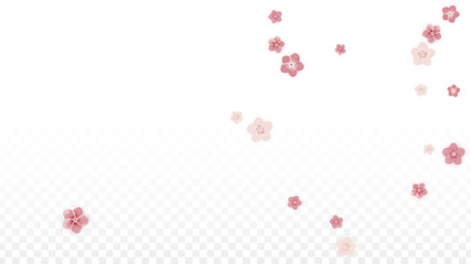 Vector Realistic Pink Flowers Falling on Transparent Background.  Spring Romantic Flowers Illustration. Flying Petals. Sakura Spa Design. Blossom Confetti. Design Elements for Wedding Decoration.