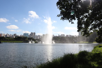 Ibirapuera's Park - 66