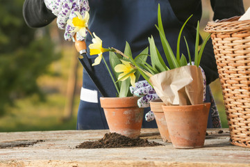 Outdoor portrait of a gardener planting flower in a ceramic pot