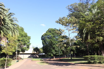 Obraz premium Ibirapuera's Park - 49