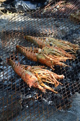 Grilled Lobster on a Rustic BBQ on the Beach