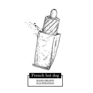 French Hot Dog In Paper Package. Grilled Sausage And Bun. Fast Food. Hand Drawn Sketch Style Street Food Vector Illustration. Isolated On White Background.