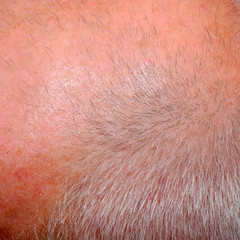 Head of old man with hair texture