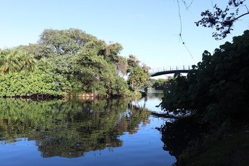 Ibirapuera's Park - 21
