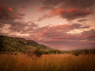 Landscape image of the incredible african sunset at the national parc Pilanesberg in South Africa