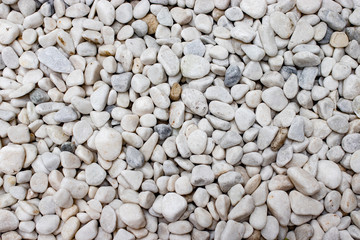 white rounded gravel