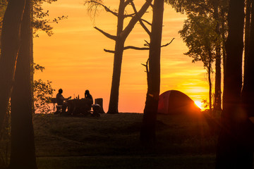 Camping on the beach during the sunset or sunrise. Bright sunlight. Tents and forest trees. Picnic and barbecue party outdoors. Concept of relaxation, holidays, recreation, meditation and rest.
