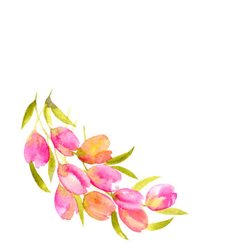 Watercolor tulips bouquet. Pink spring flowers. Flral decorative border.