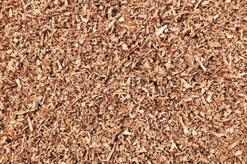 lots of brown wood saw dust