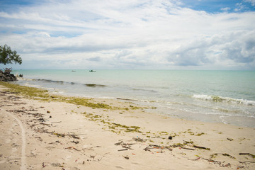 Beach on Itamaraca Island full of Sargassum seaweed (Pernambuco state, Brazil)