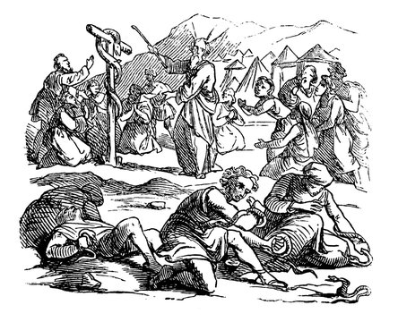 Vintage Drawing of Biblical Story of Israelites Spoken Against Moses, God Send Poisonous Snakes as Punishment