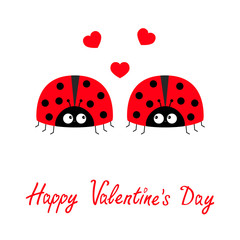 Happy Valentines Day. Two red lady bug ladybird icon set couple with hearts. Cute cartoon kawaii funny baby character. Love greeting card. Flat design. White background.