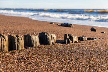 old wooden poles at sea