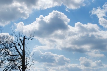 青空の映える風景