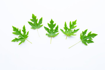Papaya leaves isolated on white