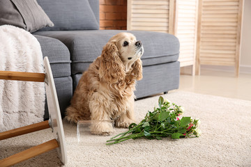 Naughty dog and dropped vase with flowers on carpet