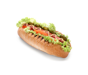 Tasty hot dog on white background
