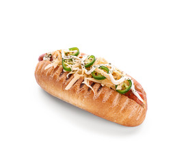 Tasty hot dog on white background